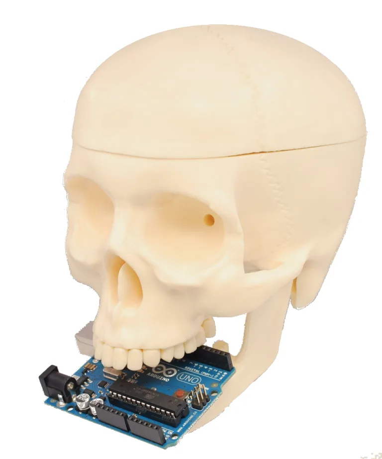 Simple Halloween Skull