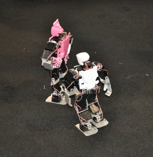The best ideas for projects from CES 2012