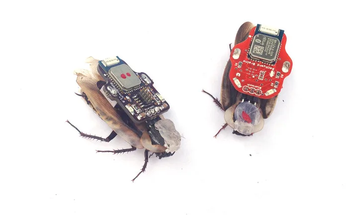 RoboRoach helps you Control a living insect from your smartphone (on Kickstarter)