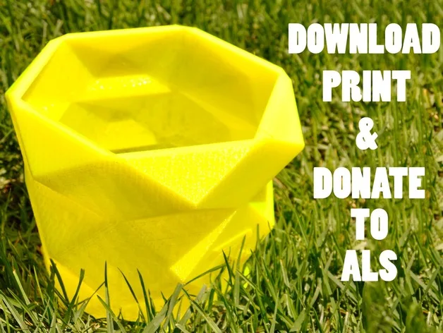 If you really want to do Ice Bucket Challenge use a 3D Printed Bucket (and donate).