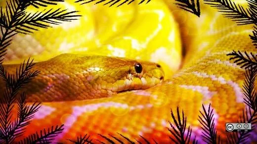 Python for not engineers: How to automate boring stuff in a heartbeat!