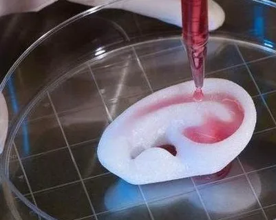 Novel Material ‘Celleron’ Could Revolutionize 3D Bioprinting for Regenerative Medicine
