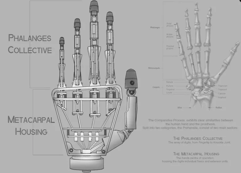 3D Printed Prehensile Prosthetic Hand Combines Elegance with Incredible Functionality – 3DPrint.com