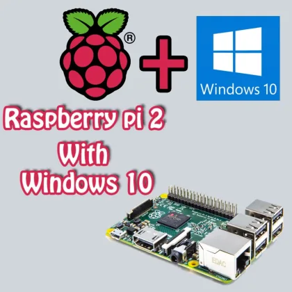 Microsoft tastes the raspberry