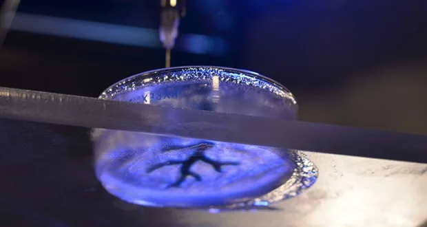 Low-Cost Human Organ Printing