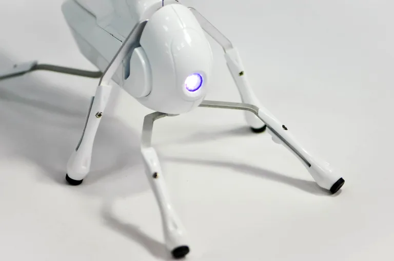 Antbo is a robot insect companion anyone can build
