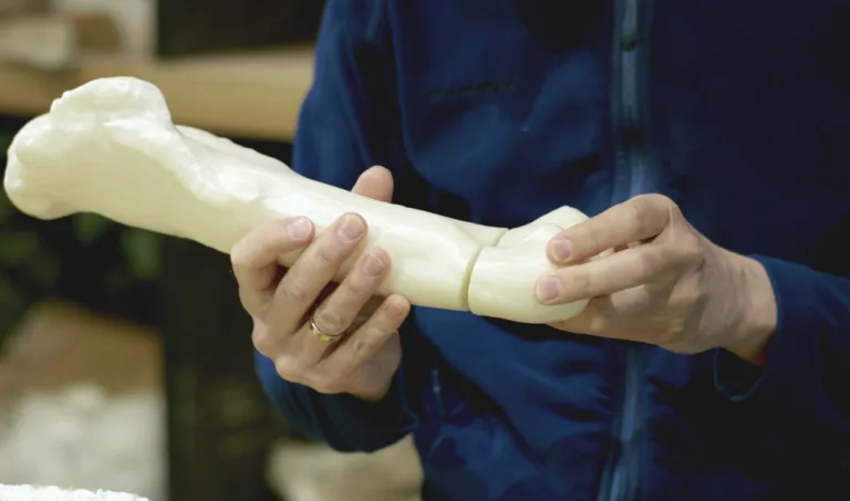 3D printing a Tyrannosaurus rex skeleton with Ultimaker 3D Printers
