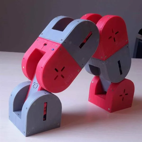 Dtto: a modular 3D printed robot that can build itself