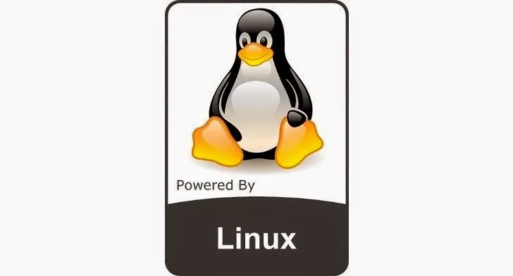 Raspberry Pi Zero & LG Nexus 5 supported on Linux 4.9