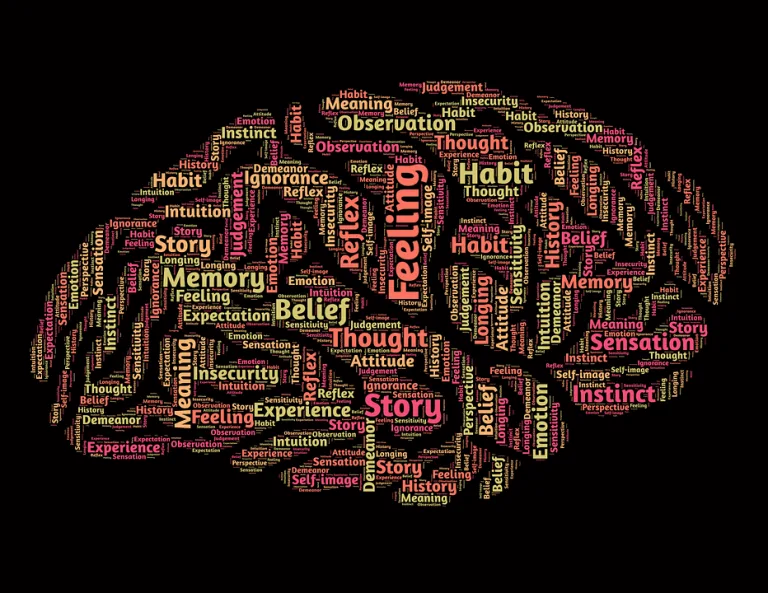 How to use Deep Learning when you have Limited Data