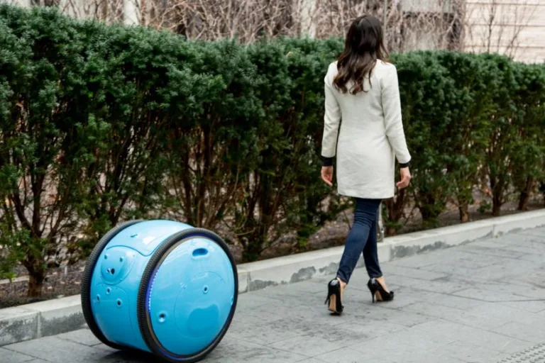 A cargo-carrying robot to follow in your footsteps