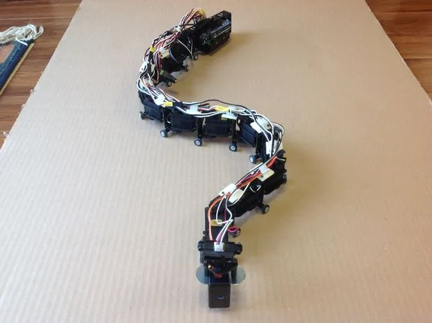 The lake Erie Mamba: an harmless 12-Servo Snake Robot
