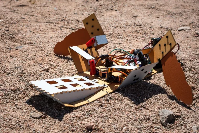C-Turtle: a Multi-Terrain Crawling Robot