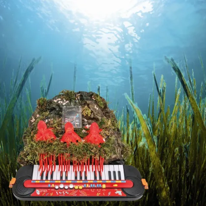 The Pianist Octopus: a gadget to blow minds
