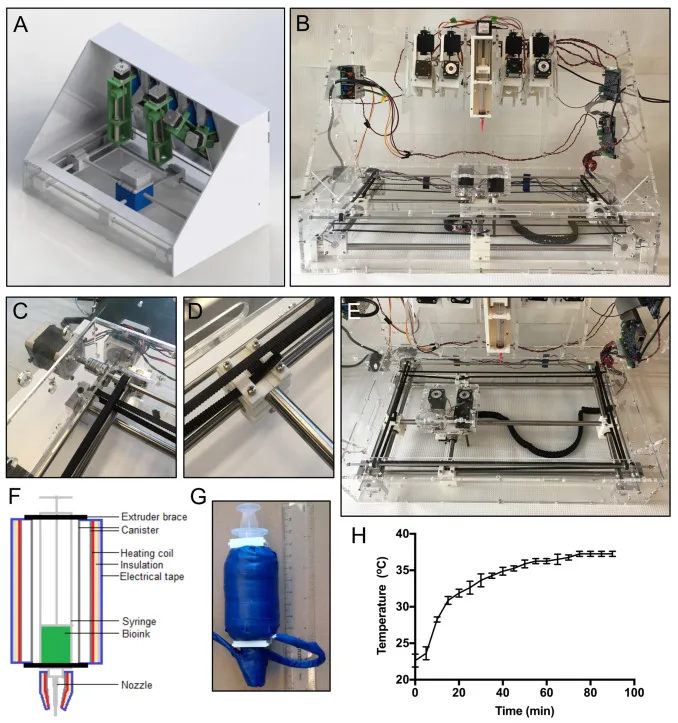 Open Source 3D Bioprinter to Generate Complex Vessel Tissue