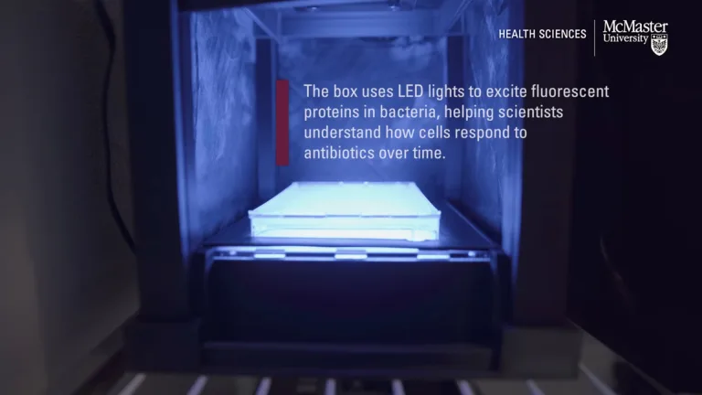 3D Printed Fluorescence Imaging Box to Discover New Antibiotics
