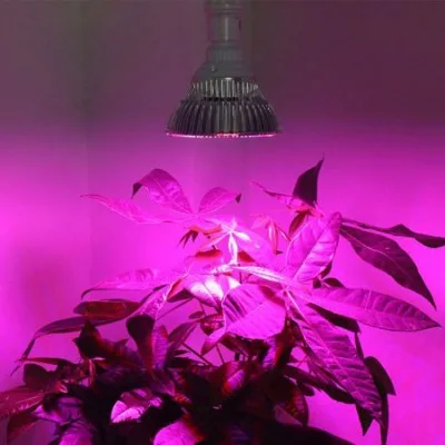 Full Spectrum LED Grow Light Bulb – 80 W
