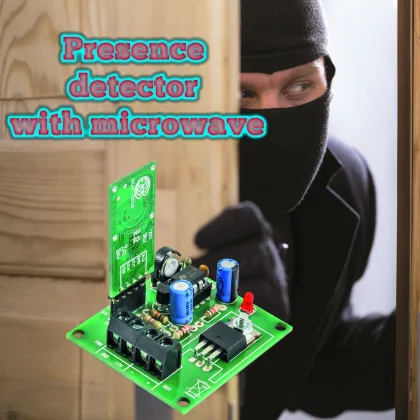 Presence detector with microwave