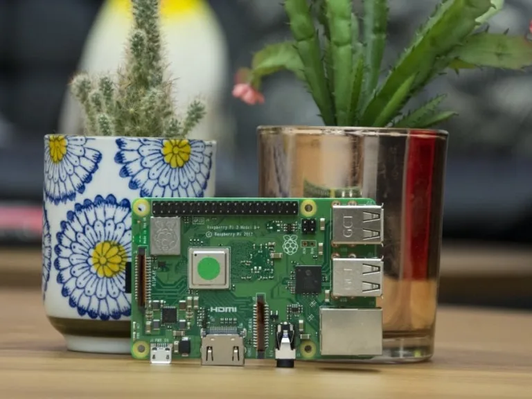 DIY a Raspberry Pi Based Plant Observation System