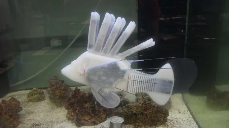 Robot Fish Is Powered By a Robot-Blood Battery