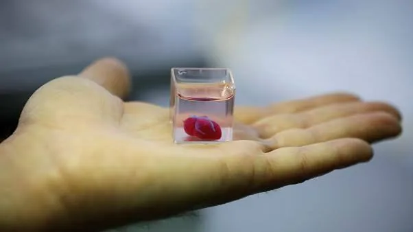 Can we print a human heart?