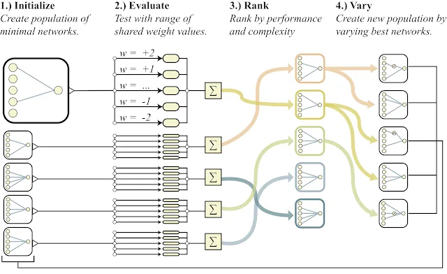 Exploring Weight Agnostic Neural Networks