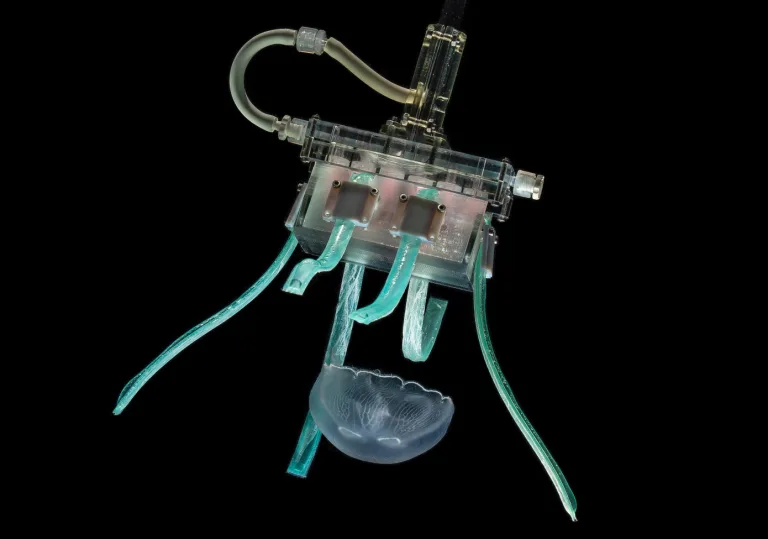 An ‘ultragentle’ robotic gripper