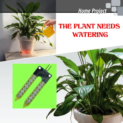 The plant asks water