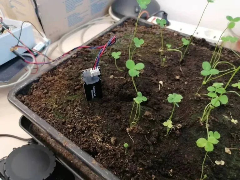 Green Roof Monitoring