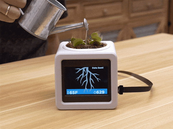 PyPortal Pet Planter with Adafruit IO