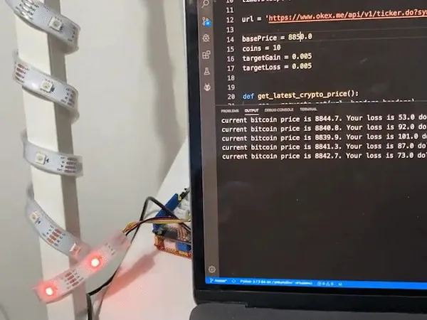 Visualize your bitcoin gain and loss with arduino & python