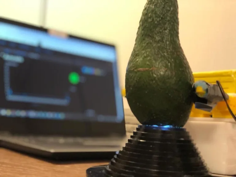 AvoRipe – Check your Avocado’s Ripeness