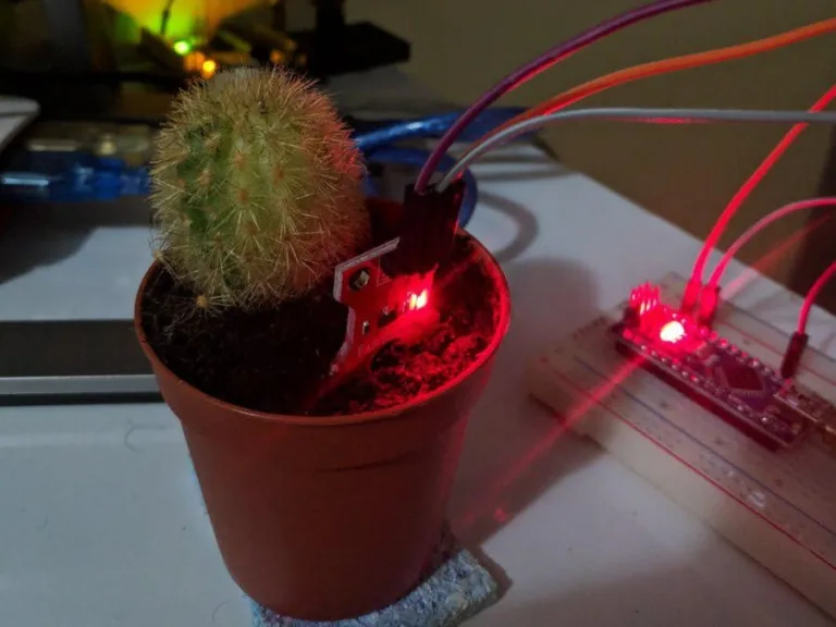 How its made: Talking Cactus