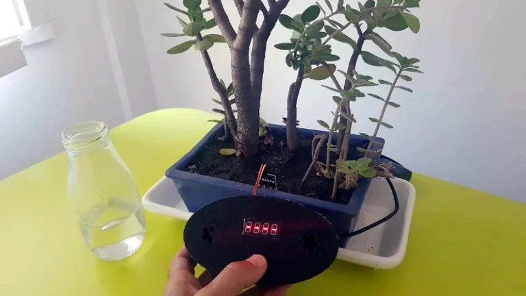 Hearing Plants Giggle is Just as Creepy as You Think