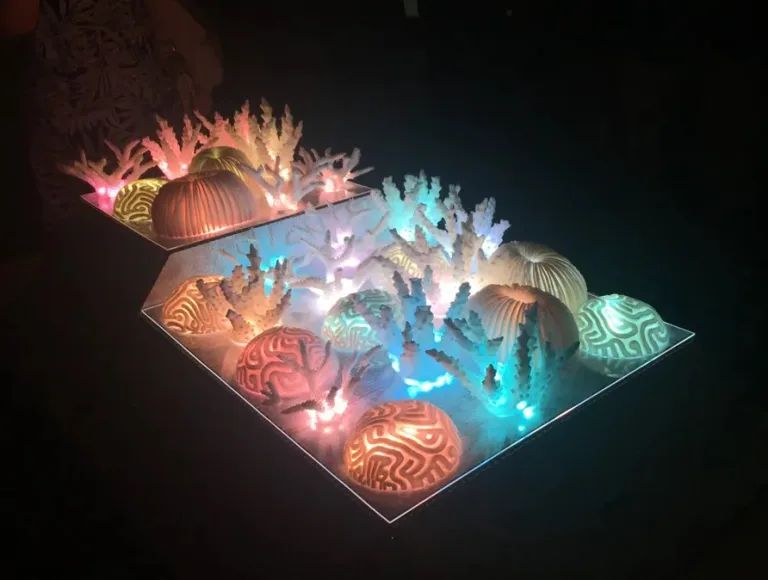 Rainbow Coral – Interactive Art