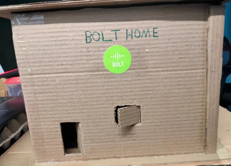 Home Safety Alert System