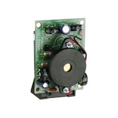 Electronic Cricket
