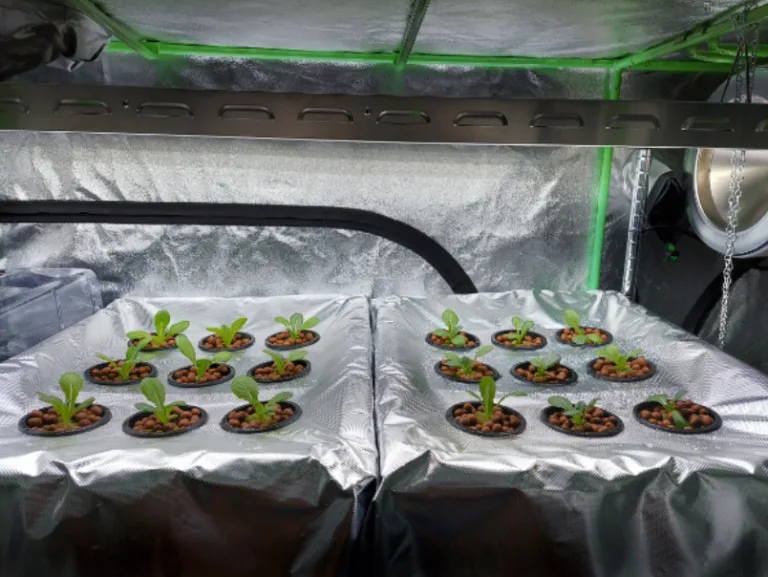 Hydroponic greenhouse with ESP8266