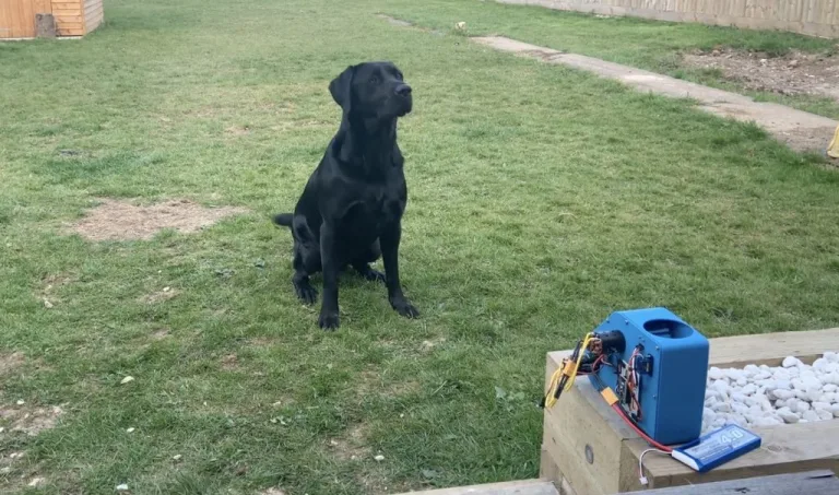 Arduino-controlled ball launcher for your pups