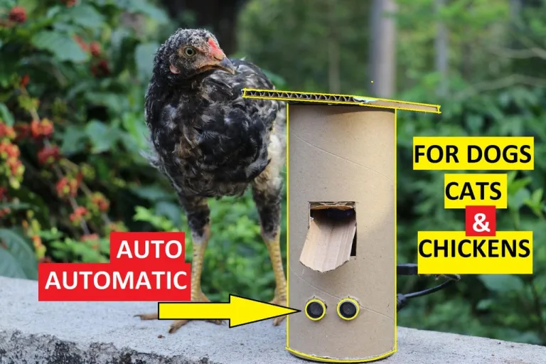 Automatic food dispencer for pet with Arduino