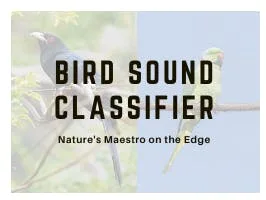 Bird Sound Classifier