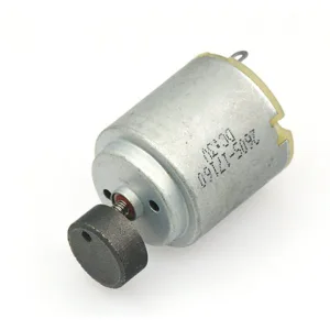 Vibration Motor with Eccentric Load