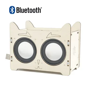 Bluetooth stereo speaker educational kit "Lucky Cat"