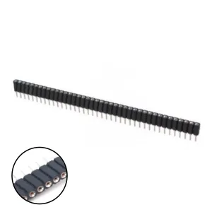 40-Pin Female Strip Connector, 2.54mm Pitch
