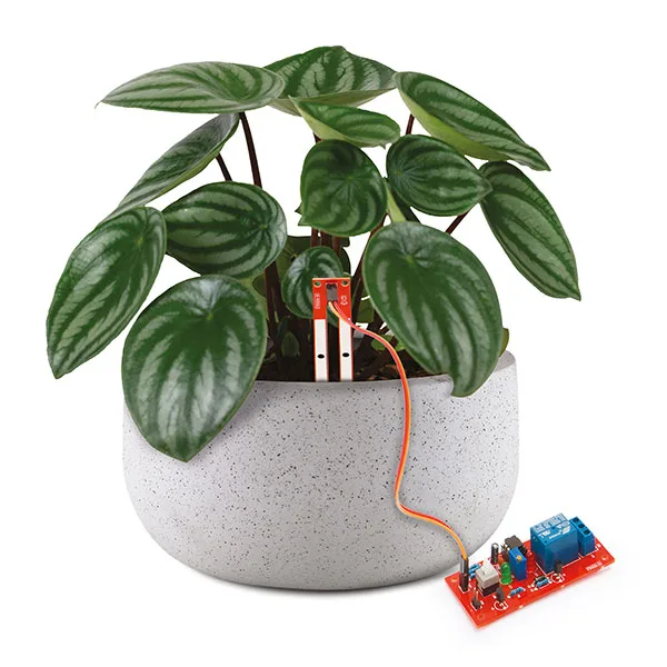 Soil Moisture Sensor - Image 4