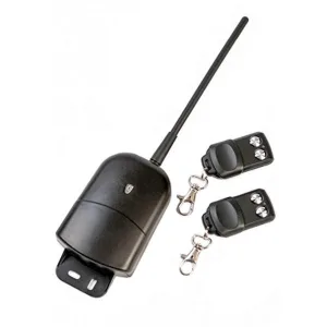 Outdoor Remote Control Kit, 2-Channel - 433 MHz