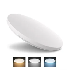 24W LED ceiling light with variable light output