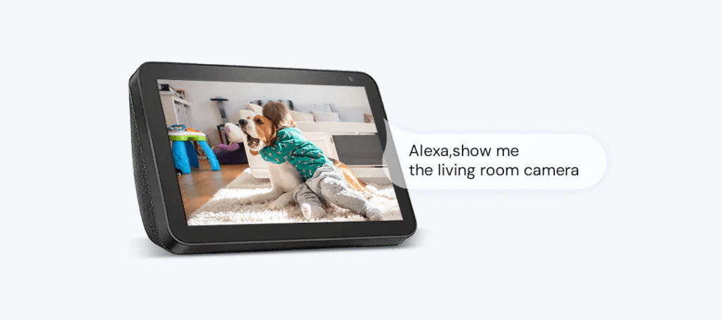 Telecamera WiFi 2Mpx Tuya Alexa Google Home
