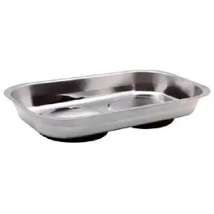 Magnetic tray