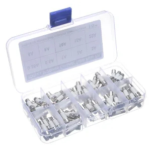 Box of 100 ceramic fuses 5×20 mm - 10 ratings